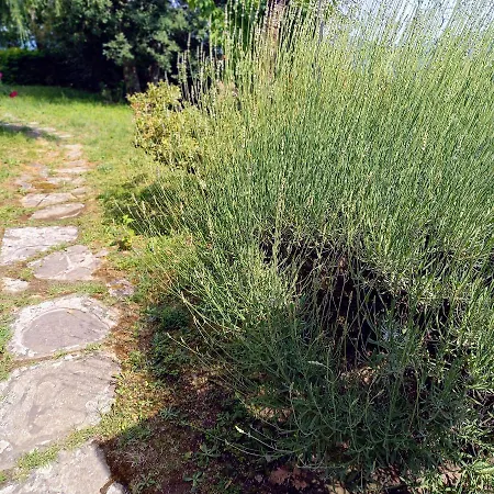 Villa Casa Conny *